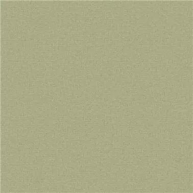 Ayora Shamrock VA02304