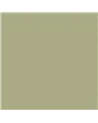 Ayora Shamrock VA02304
