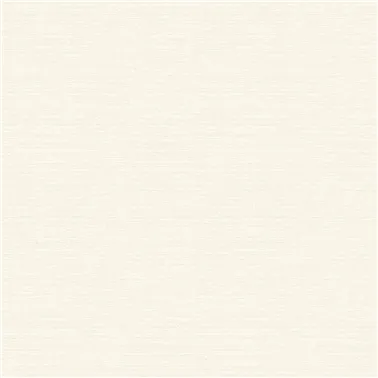Catalina Shell VA02308