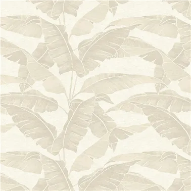 Verdant Vanilla VA02342