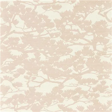 Kengai Blossom Chalk HKAW113203