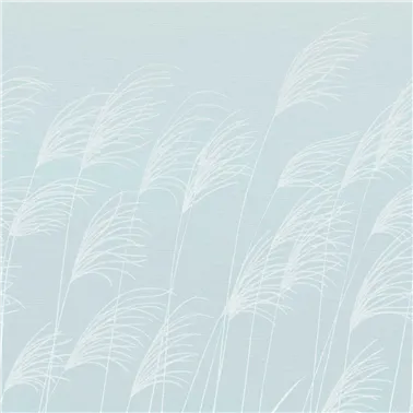 Miscanthus Sky Celestial HKAW113232