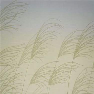 Miscanthus Buttermilk Sky...