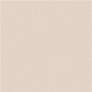 LINO 2618.56