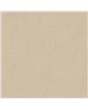 MARE 2103.06