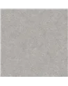 MOON 1115.02