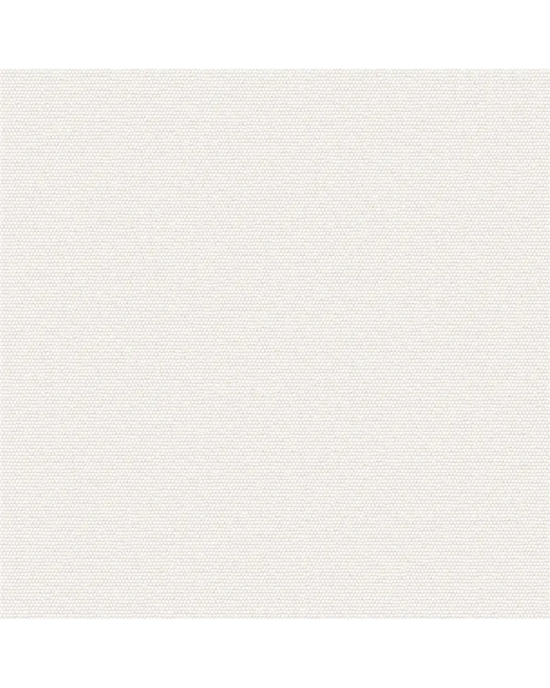 NEXUS 2534.02
