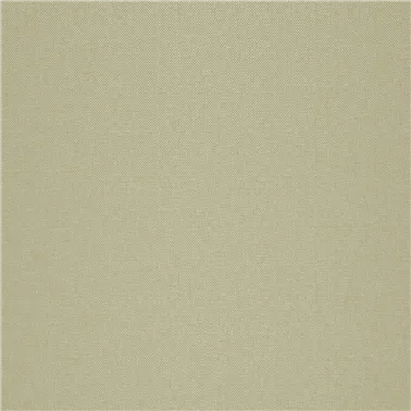 STRIE 2550.02