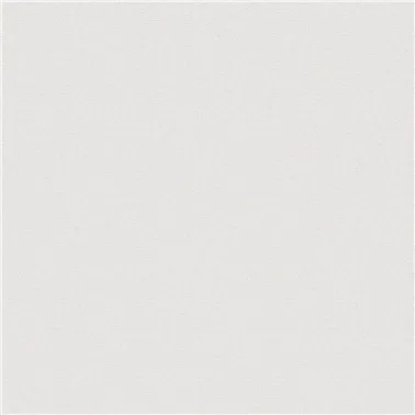 STRIE 2550.03