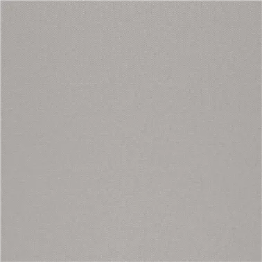 STRIE 2550.06