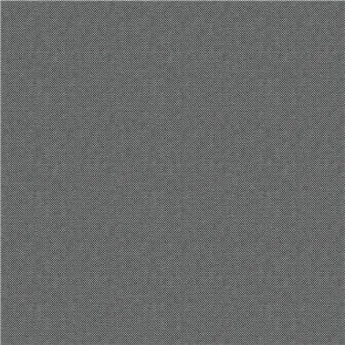 STRIE 2550.10