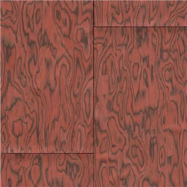 Coti Fire Orange  30800