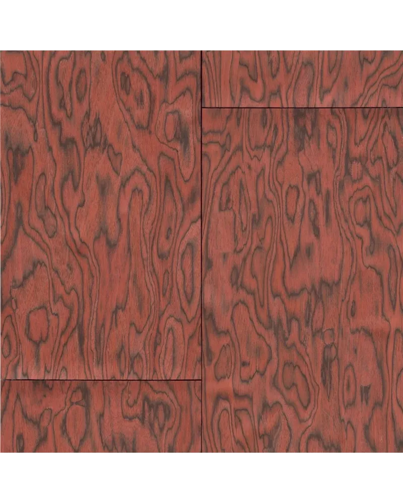 Coti Fire Orange 30800 Coti Fire Orange 30800