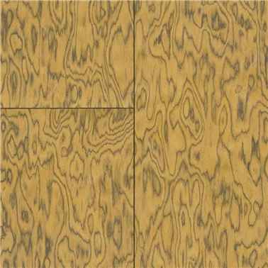 Coti Saffron 30804