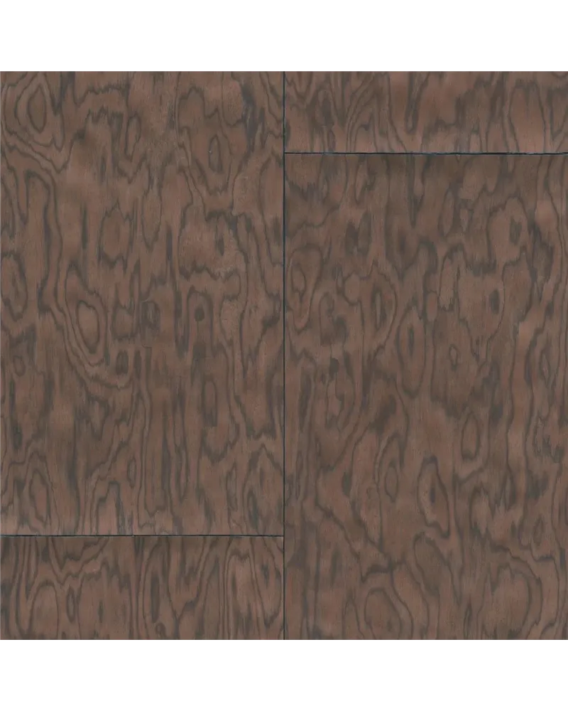 Coti Chocolate 30802 Coti Chocolate 30802