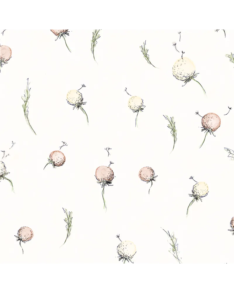 Dandelion Powder 27560 Dandelion Powder 27560