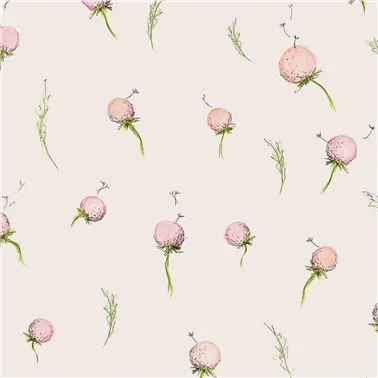 Dandelion Peach 27563