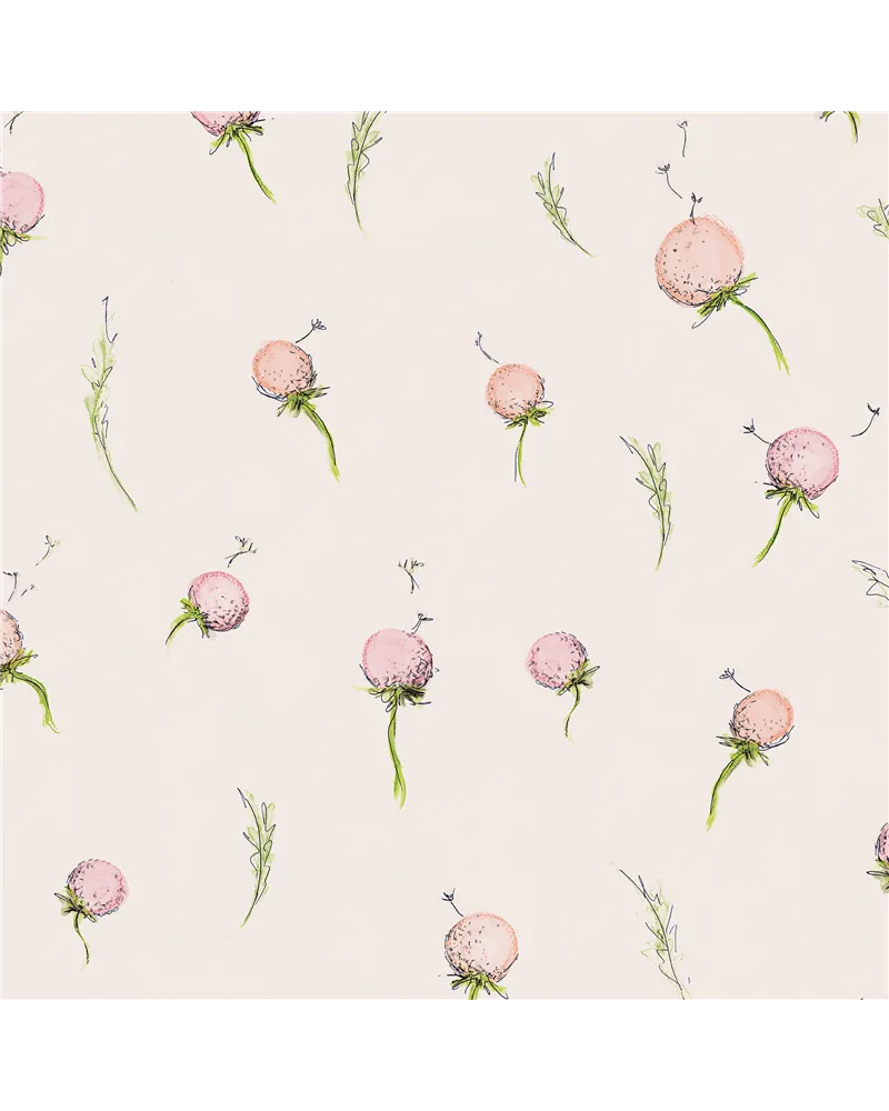 Dandelion Peach 27563 Dandelion Peach 27563