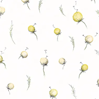 Dandelion Sunny Day 27559
