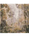 Pineto WDPI2401