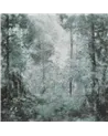 Pineto WDPI2402