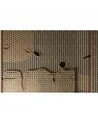 Warping WDWA2402