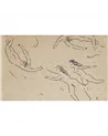 Danae WDDA2501