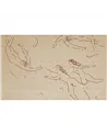 Danae WDDA2502