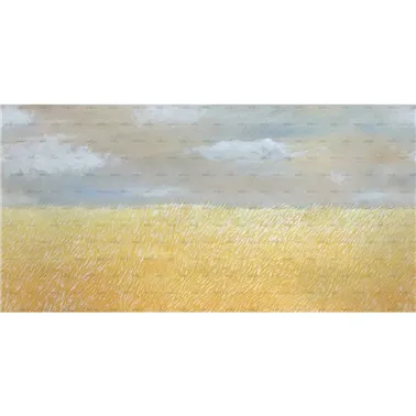 Il colore del Grano WDCG2502