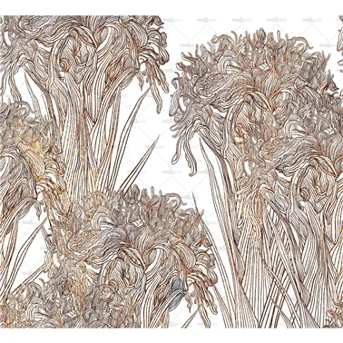 Lilly WDLI2501