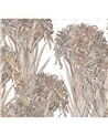 Lilly WDLI2501