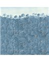 Blue Fairy Tale WET_BF2401