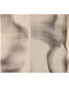 Chromatic Symphony WET_CS2401