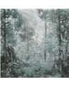 Pineto WDPI2402