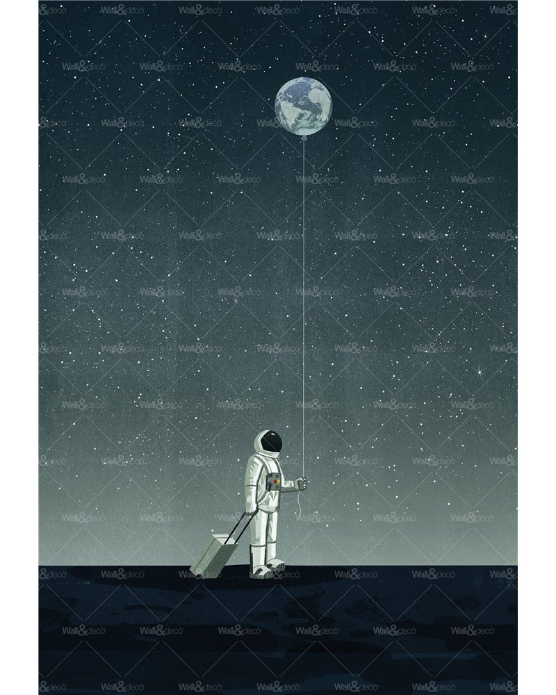 Walking with the Moon WDWM2401