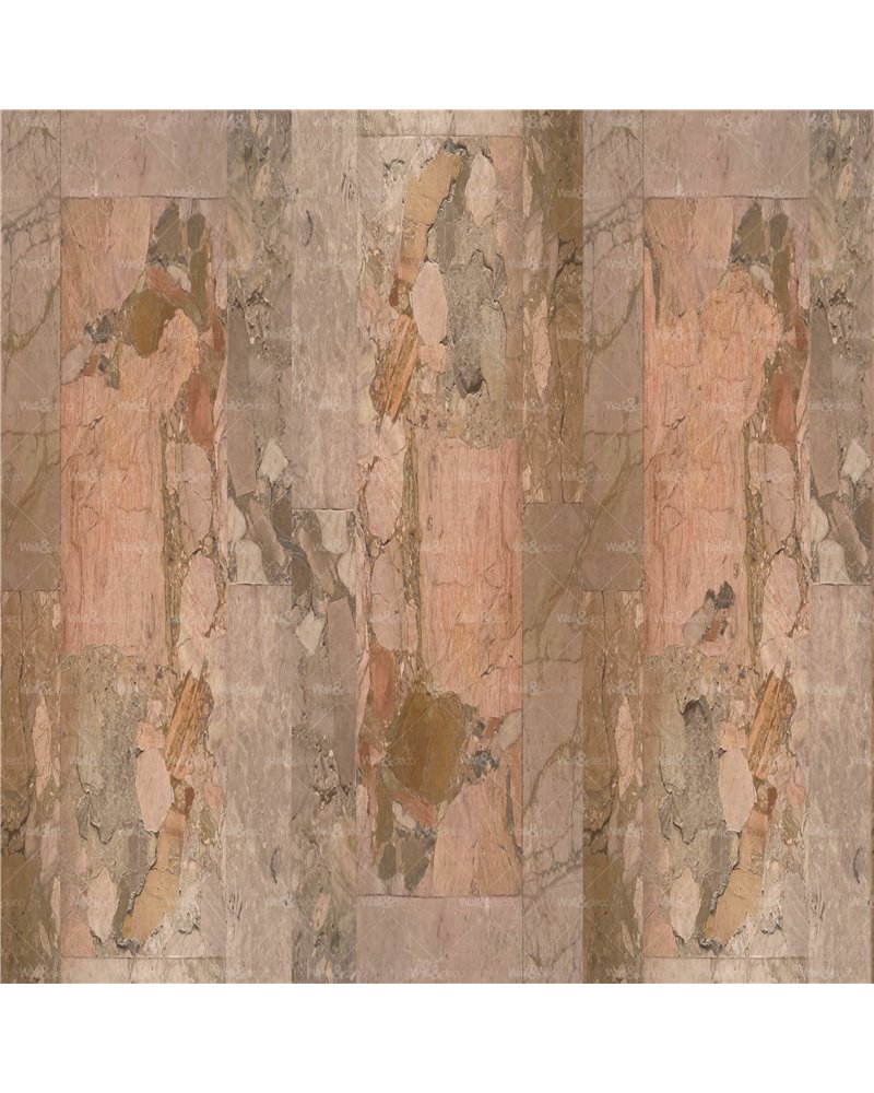 Beige Allure WDBA2501
