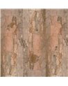 Beige Allure WDBA2501
