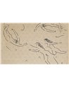 Danae WDDA2501