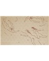 Danae WDDA2502