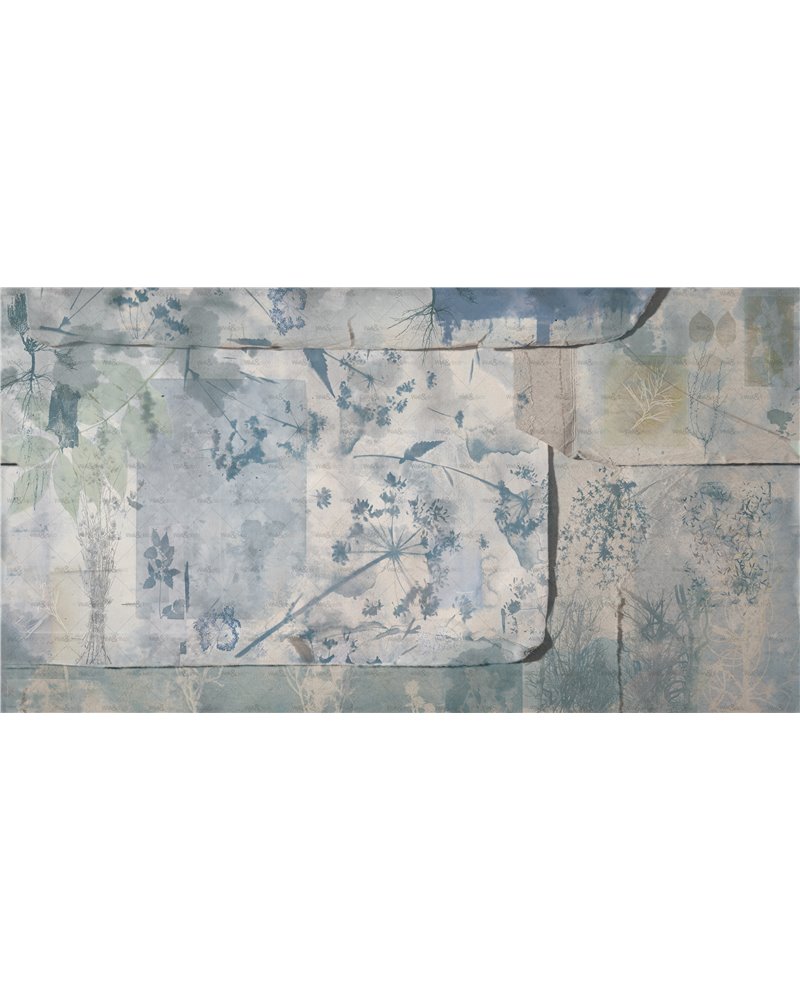 Hortorium WDHT2502