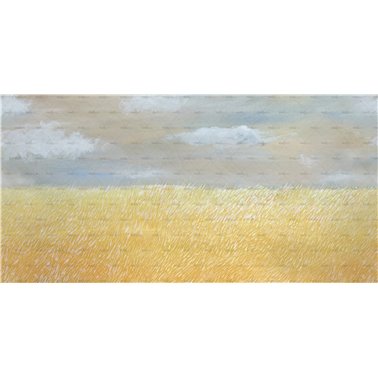 Il colore del Grano WDCG2502