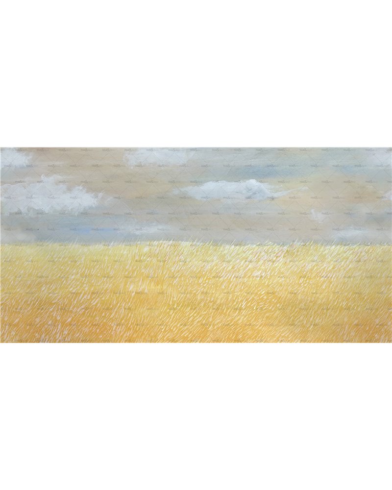 Il colore del Grano WDCG2502