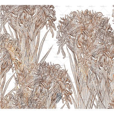 Lilly WDLI2501
