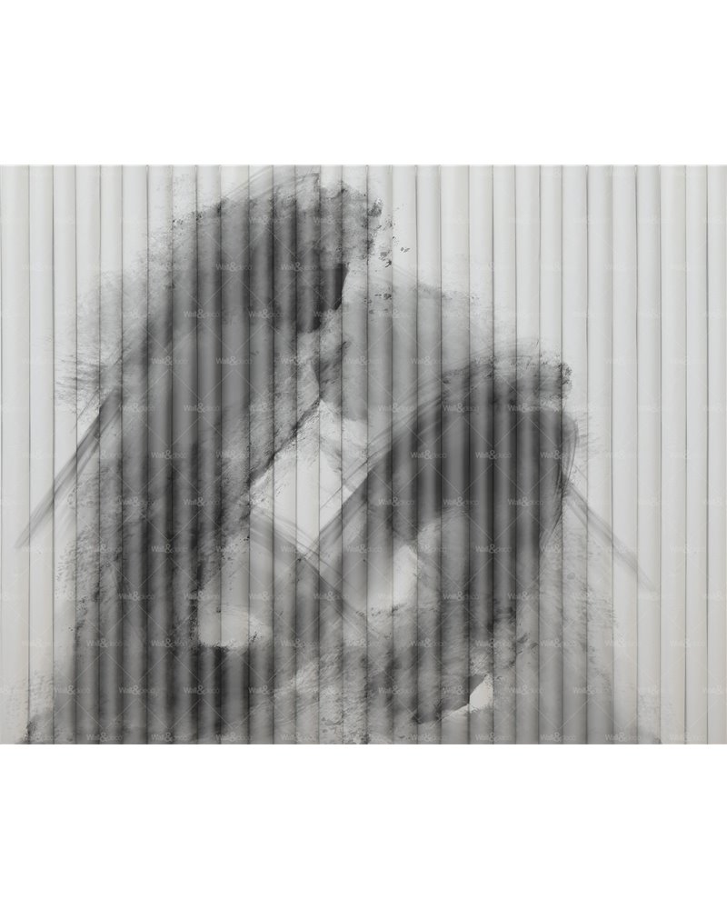 Macula WET_MA2401