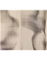 Chromatic Symphony WET_CS2401