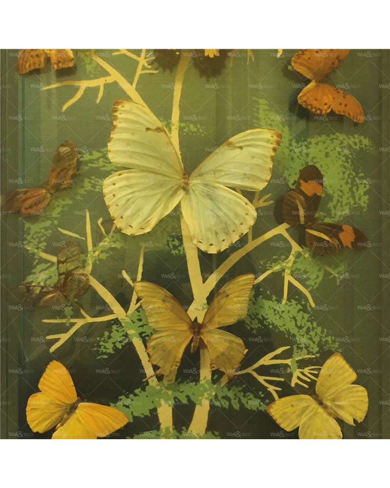 Madame Butterfly WET_MB2401