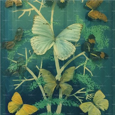 Madame Butterfly WET_MB2402