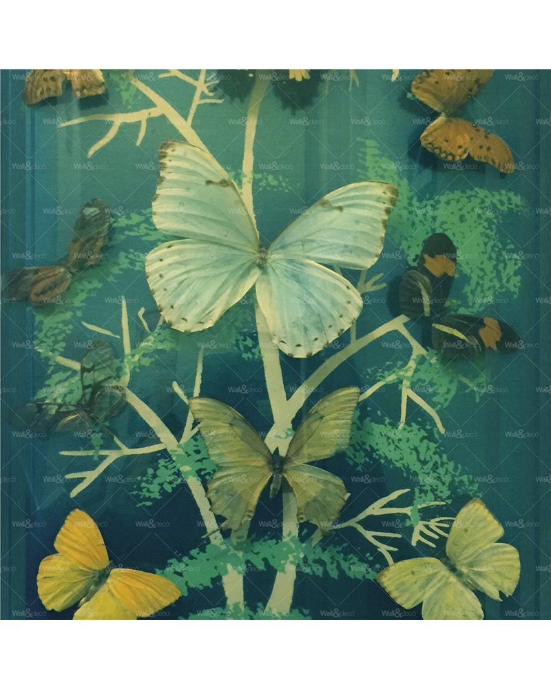 Madame Butterfly WET_MB2402