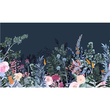 Odette Nuit