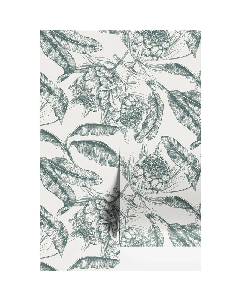 Protea Creme Protea Creme